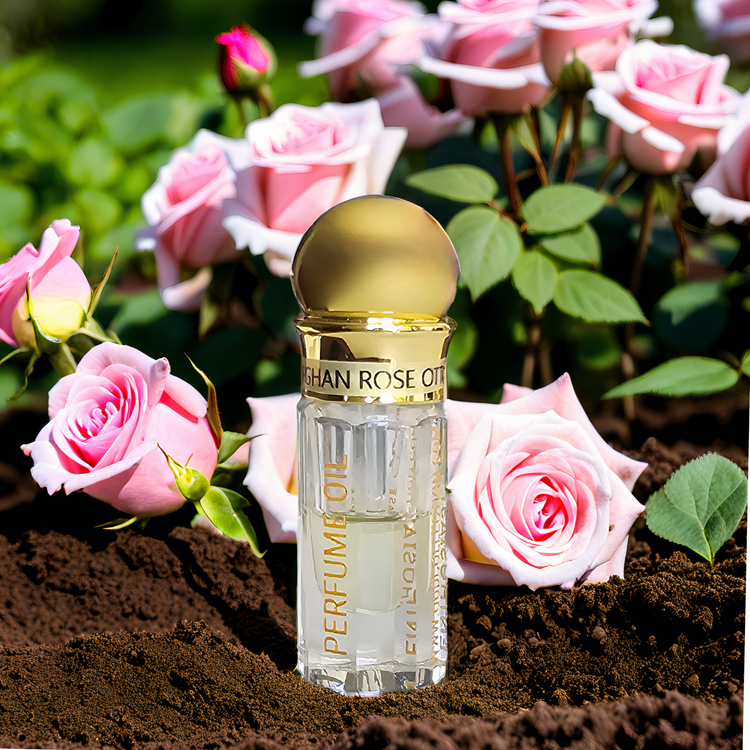 وردة أفغانية أوتو