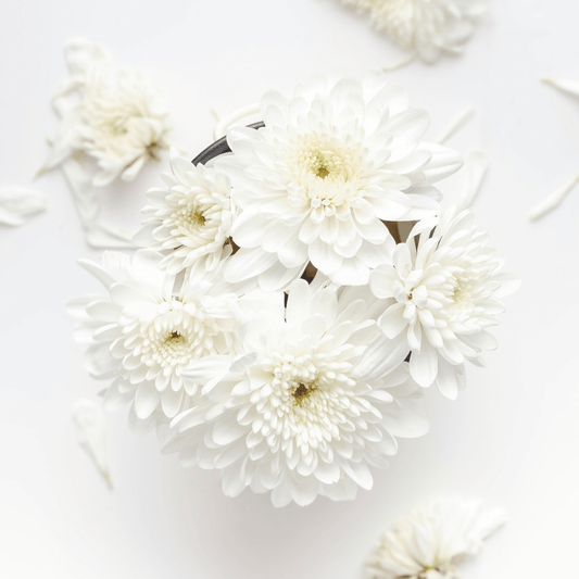 Sofia white musk perfume oil 3mL clean fresh scent