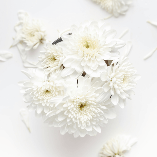 Sofia white musk perfume oil 3mL clean fresh scent